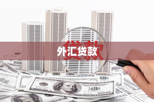 枋寮外汇贷款