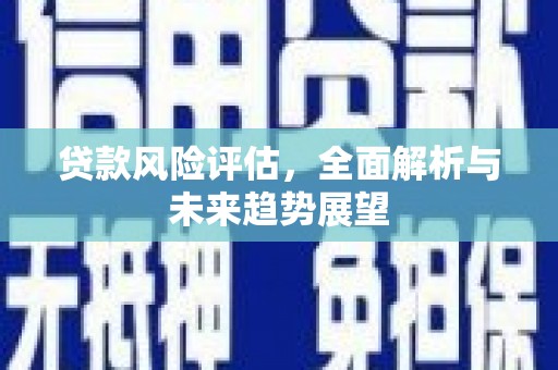 枋寮贷款风险评估，全面解析与未来趋势展望