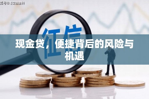 枋寮现金贷，便捷背后的风险与机遇