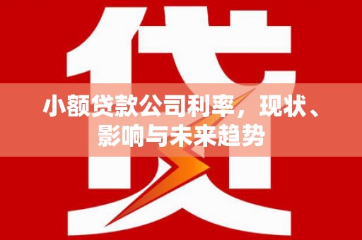 枋寮小额贷款公司利率，现状、影响与未来趋势