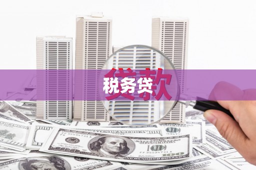 枋寮税务贷