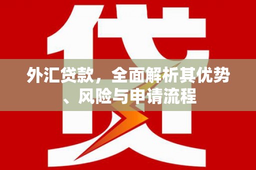 枋寮外汇贷款，全面解析其优势、风险与申请流程