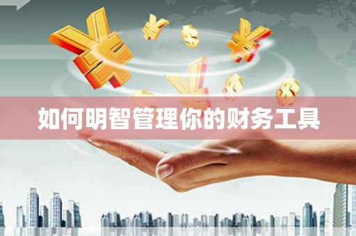 枋寮如何明智管理你的财务工具