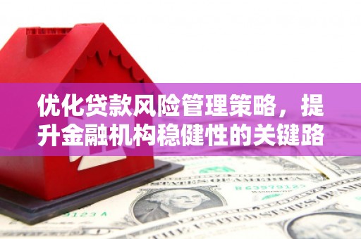 枋寮优化贷款风险管理策略，提升金融机构稳健性的关键路径