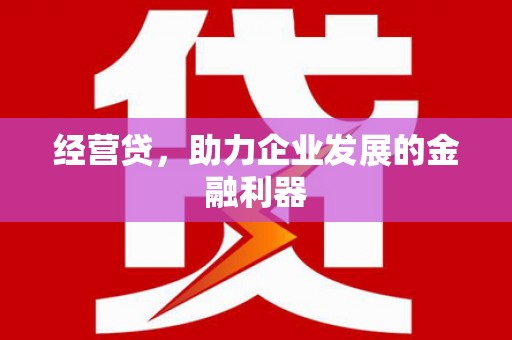 枋寮经营贷，助力企业发展的金融利器