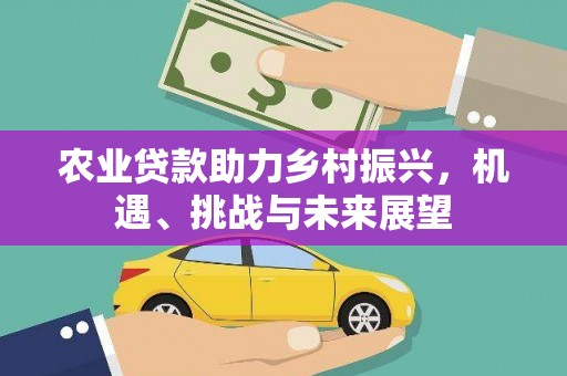 枋寮农业贷款助力乡村振兴，机遇、挑战与未来展望