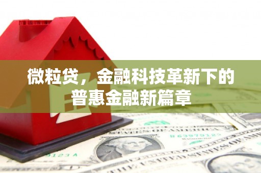 枋寮微粒贷，金融科技革新下的普惠金融新篇章