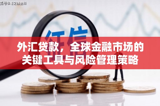 枋寮外汇贷款，全球金融市场的关键工具与风险管理策略