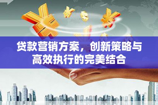 枋寮贷款营销方案，创新策略与高效执行的完美结合