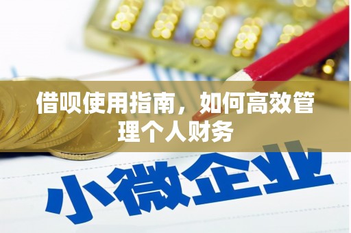 枋寮借呗使用指南，如何高效管理个人财务