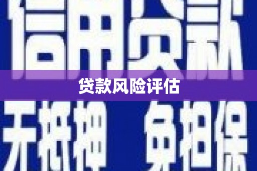 枋寮贷款风险评估