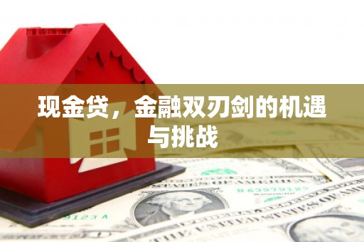 枋寮现金贷，金融双刃剑的机遇与挑战