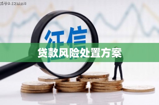 枋寮贷款风险处置方案