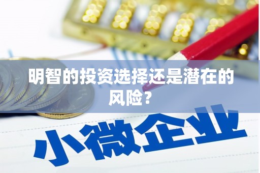 枋寮明智的投资选择还是潜在的风险？