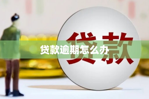 枋寮贷款逾期怎么办