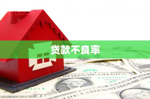 枋寮贷款不良率
