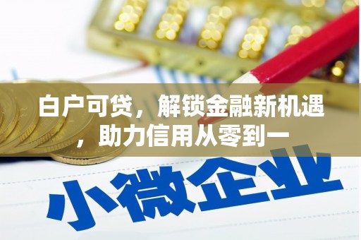 枋寮白户可贷，解锁金融新机遇，助力信用从零到一