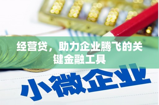 枋寮经营贷，助力企业腾飞的关键金融工具