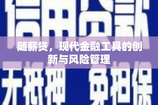 枋寮随薪贷，现代金融工具的创新与风险管理