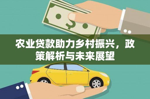 枋寮农业贷款助力乡村振兴，政策解析与未来展望