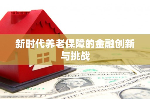枋寮新时代养老保障的金融创新与挑战
