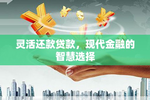 枋寮灵活还款贷款，现代金融的智慧选择