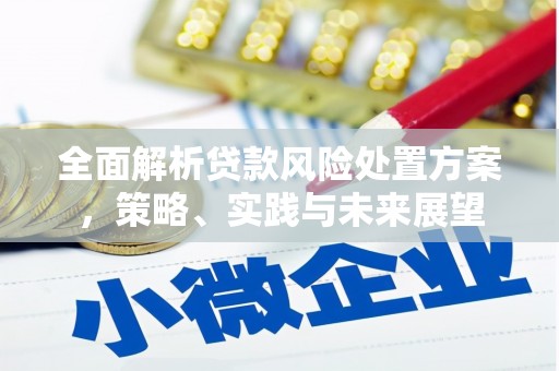 枋寮全面解析贷款风险处置方案，策略、实践与未来展望