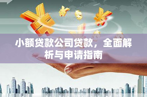 枋寮小额贷款公司贷款，全面解析与申请指南