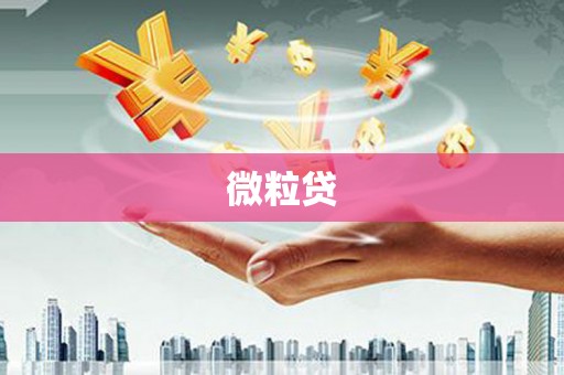 枋寮微粒贷