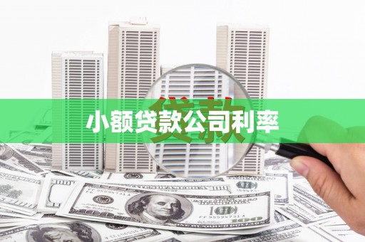 枋寮小额贷款公司利率