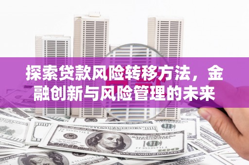 枋寮探索贷款风险转移方法，金融创新与风险管理的未来