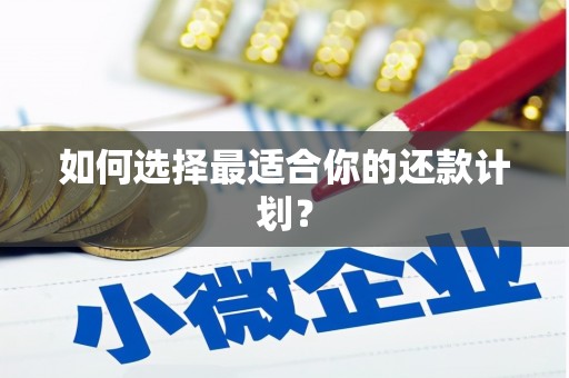 枋寮如何选择最适合你的还款计划？
