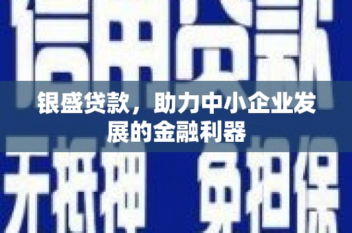 枋寮银盛贷款，助力中小企业发展的金融利器
