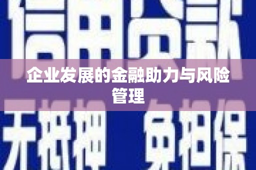 枋寮企业发展的金融助力与风险管理