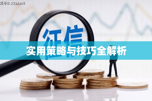 枋寮实用策略与技巧全解析