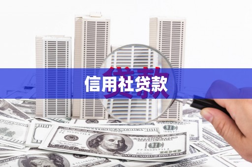 枋寮信用社贷款