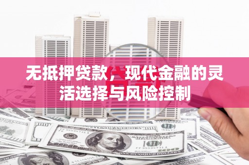 枋寮无抵押贷款，现代金融的灵活选择与风险控制