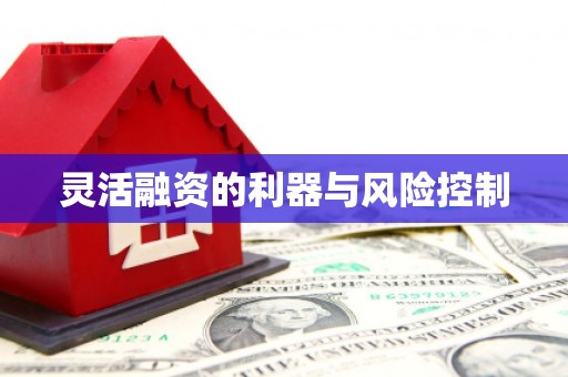 枋寮灵活融资的利器与风险控制