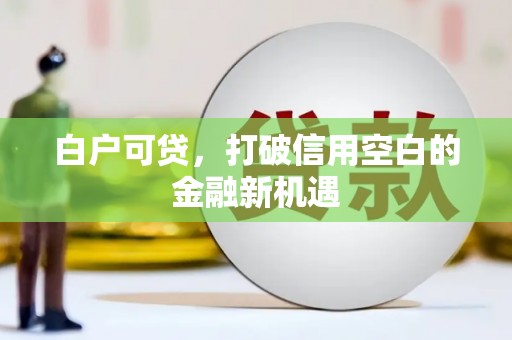 枋寮白户可贷，打破信用空白的金融新机遇