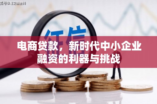 枋寮电商贷款，新时代中小企业融资的利器与挑战