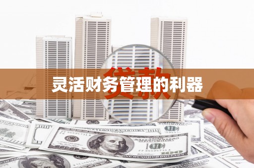 枋寮灵活财务管理的利器
