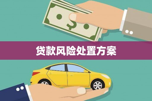 枋寮贷款风险处置方案