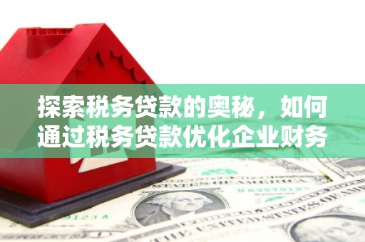 枋寮探索税务贷款的奥秘，如何通过税务贷款优化企业财务
