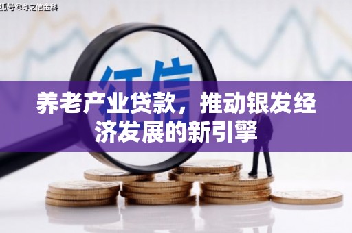 枋寮养老产业贷款，推动银发经济发展的新引擎