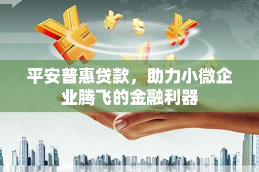 枋寮平安普惠贷款，助力小微企业腾飞的金融利器
