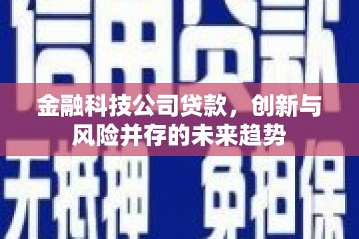 枋寮金融科技公司贷款，创新与风险并存的未来趋势
