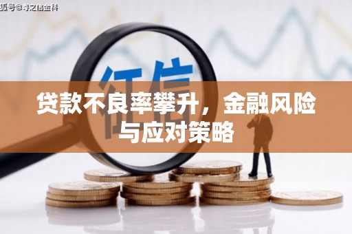 枋寮贷款不良率攀升，金融风险与应对策略