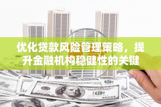 枋寮优化贷款风险管理策略，提升金融机构稳健性的关键