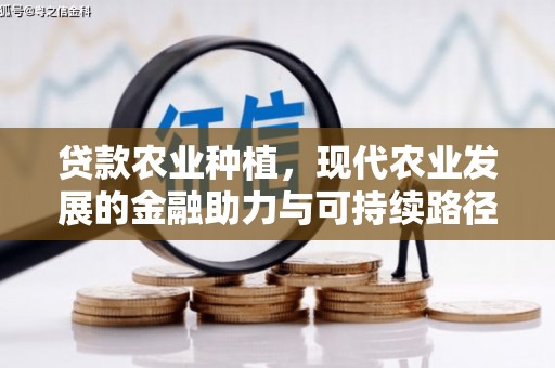 枋寮贷款农业种植，现代农业发展的金融助力与可持续路径