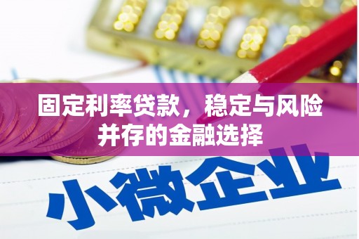 枋寮固定利率贷款，稳定与风险并存的金融选择